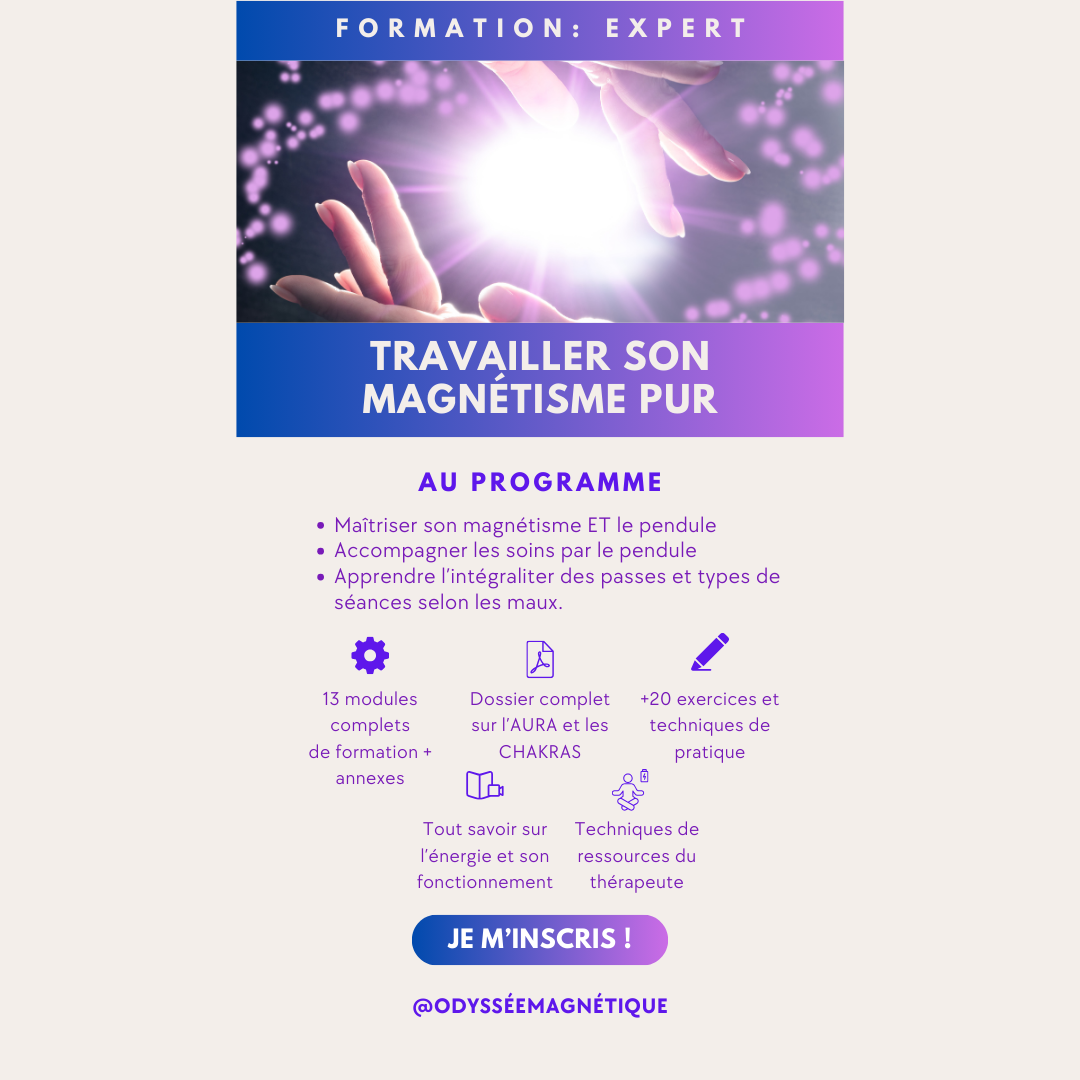 2. FORMATION NIVEAU EXPERT = TRAVAILLER SON MAGNÉTISME PUR