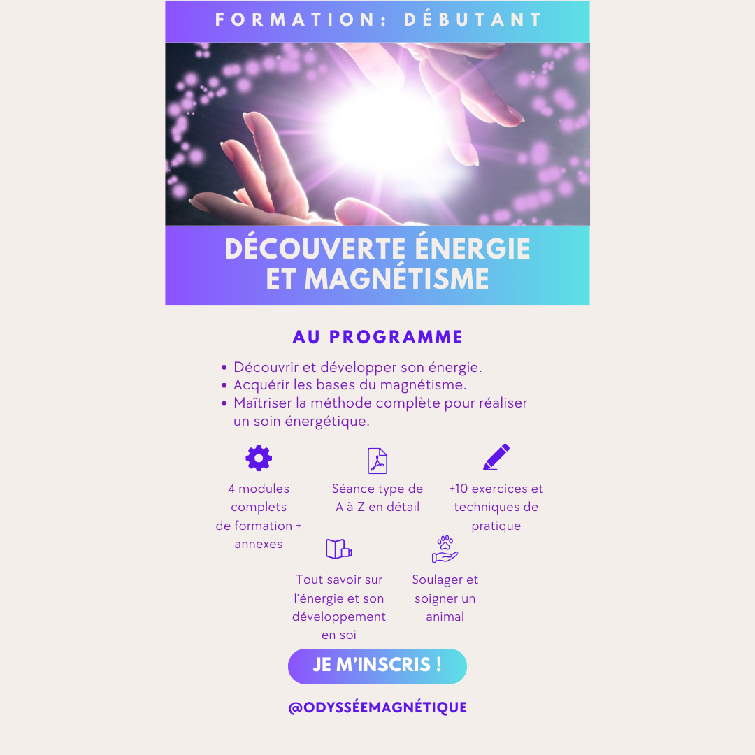 1. FORMATION NIVEAU DÉBUTANT = DÉCOUVERTE ÉNERGIE ET MAGNÉTISME