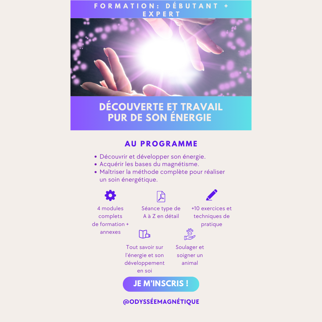 4. FORMATION DOUBLE = NIVEAU DÉBUTANT + EXPERT