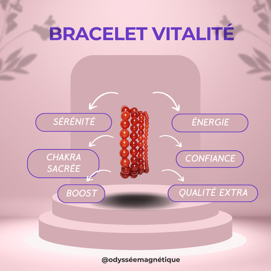 BRACELET VITALITÉ (H/F)