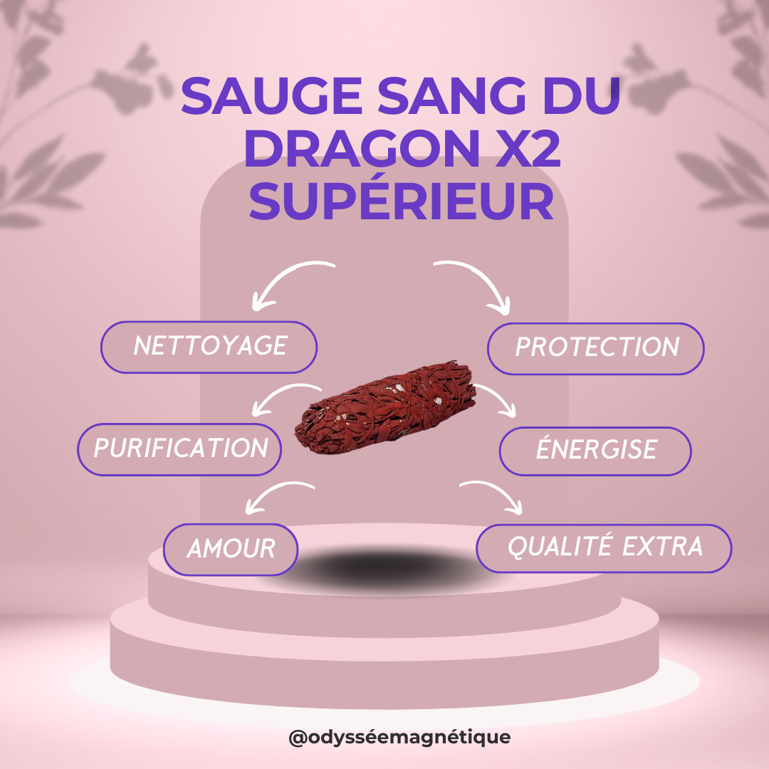 SAUGE SANG DE DRAGON SUPÉRIEUR LOT DE 2