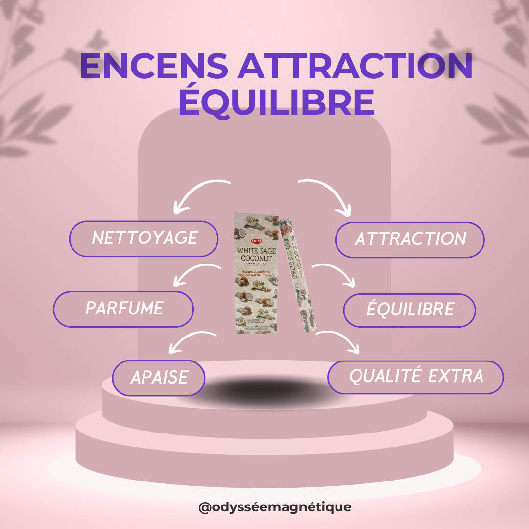 ENCENS BÂTONNETS ATTRACTION ET ÉQUILIBRE