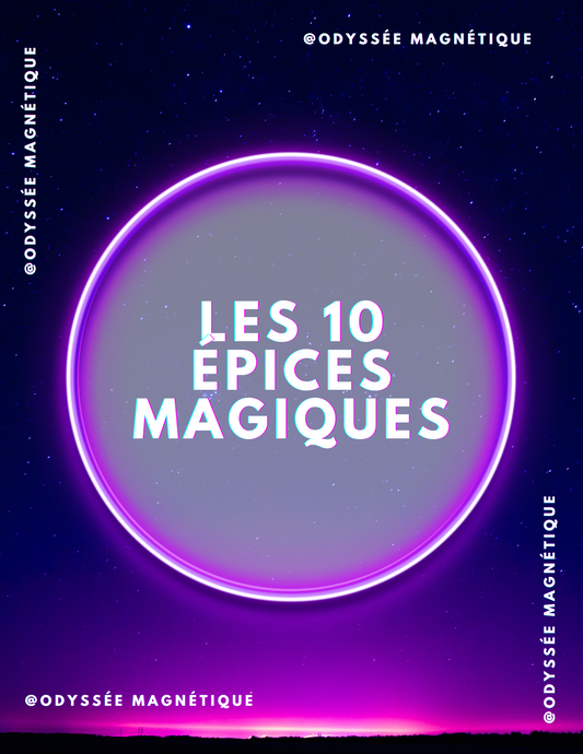 E-BOOK 10 ÉPICES MAGIQUES : BIENFAITS ET RECETTES DU QUOTIDIEN