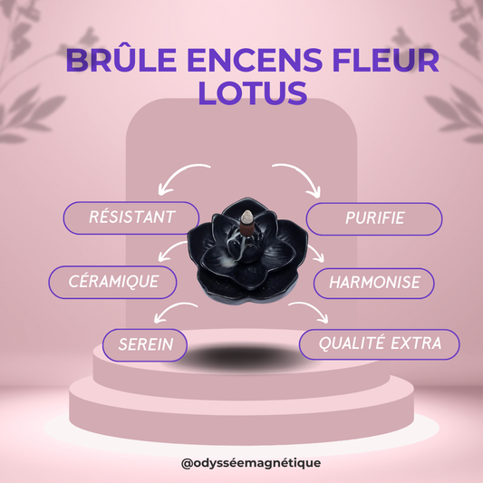 BRÛLE ENCENS REFOULEMENT FLEUR DE LOTUS