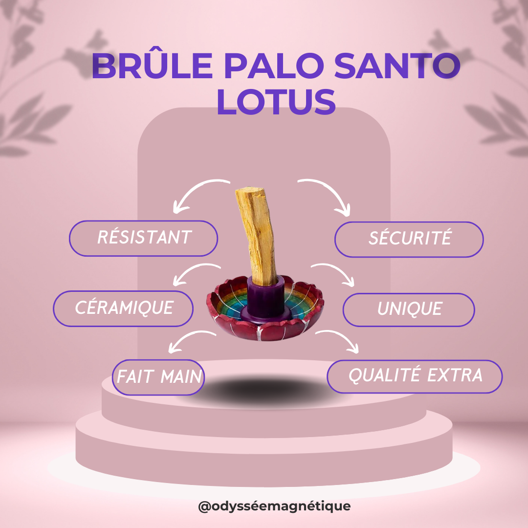 BRÛLE PALO SANTO LOTUS