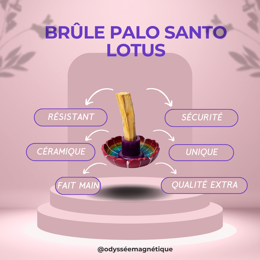 BRÛLE PALO SANTO LOTUS