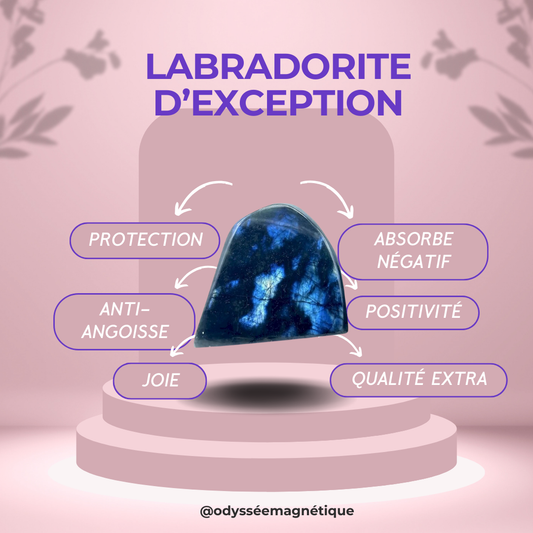 LABRADORITE SUPÉRIEURE D'EXCEPTION TAILLE L