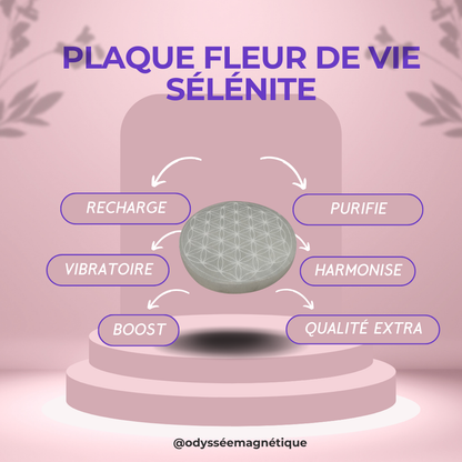 PLAQUE RECHARGE EN SÉLÉNITE ET FLEUR DE VIE SUPÉRIEURE