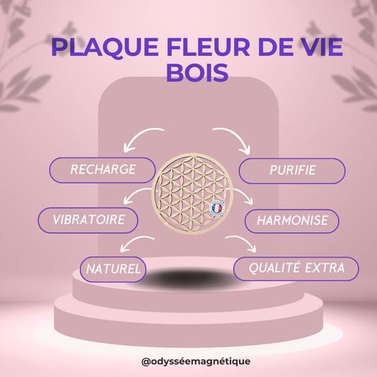 PLAQUE RECHARGE FLEUR DE VIE UNITÉ OU LOT