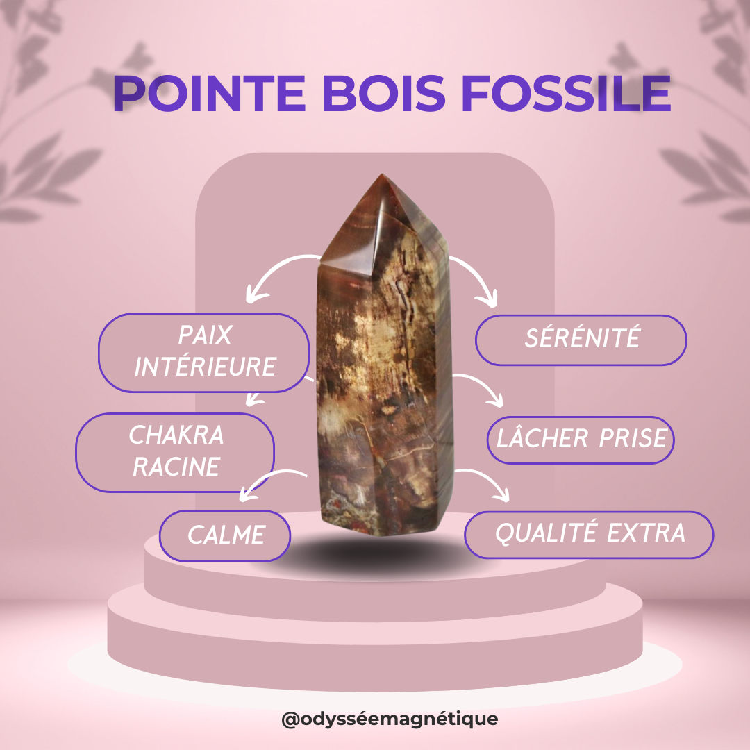 POINTES BOIS FOSSILE QUALITÉ SUPÉRIEURE