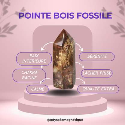 POINTES BOIS FOSSILE QUALITÉ SUPÉRIEURE