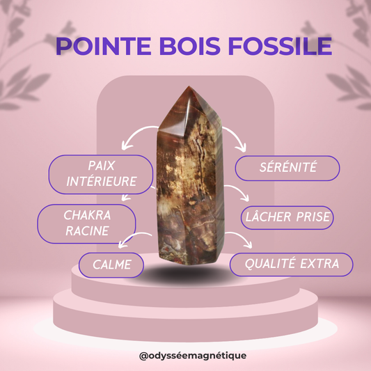 POINTES BOIS FOSSILE QUALITÉ SUPÉRIEURE