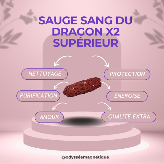 SAUGE SANG DE DRAGON SUPÉRIEUR LOT DE 2