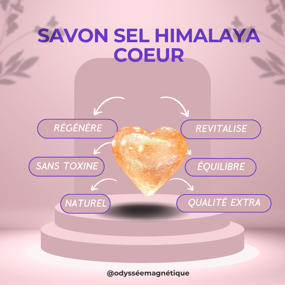 SAVON SEL HIMALAYA COEUR
