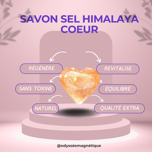 SAVON SEL HIMALAYA COEUR