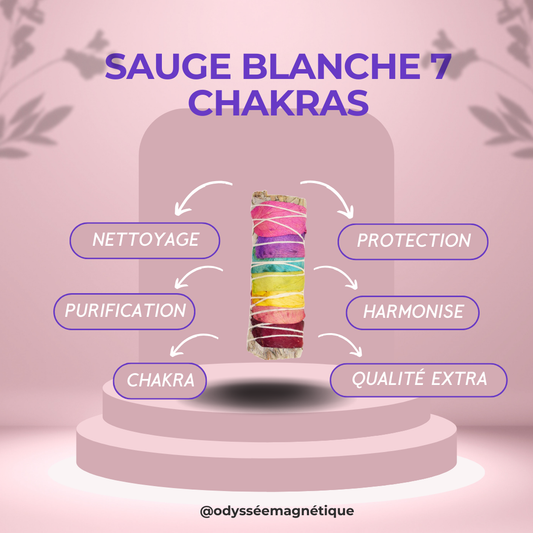 SAUGE BLANCHE 7 CHAKRAS  SUPÉRIEURE