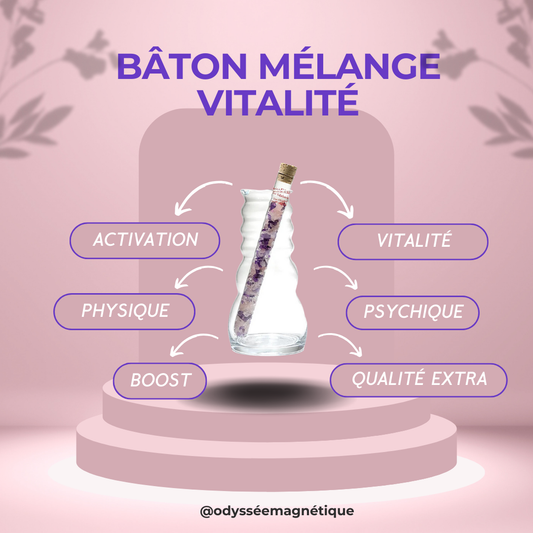 BÂTON MÉLANGE VITALITÉ