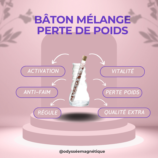 BÂTON MÉLANGE PERTE DE POIDS