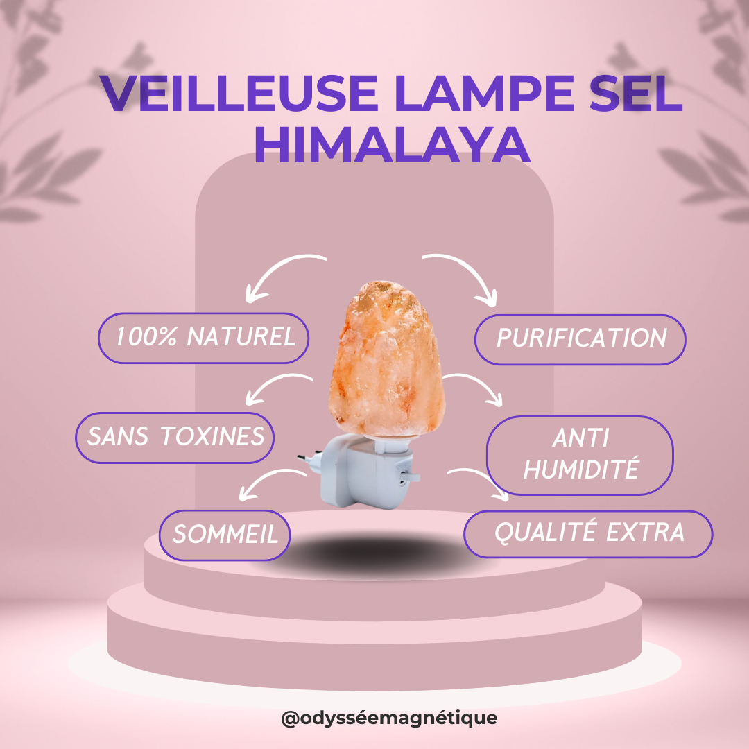VEILLEUSE LAMPE SEL HIMALAYA BOUTON ON/OFF