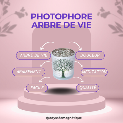 PHOTOPHORE ARBRE DE VIE