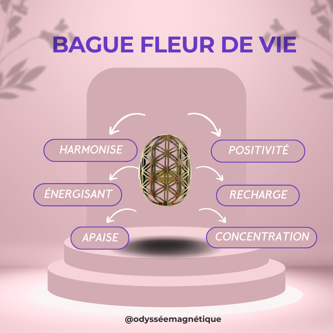 BAGUE FLEUR DE VIE