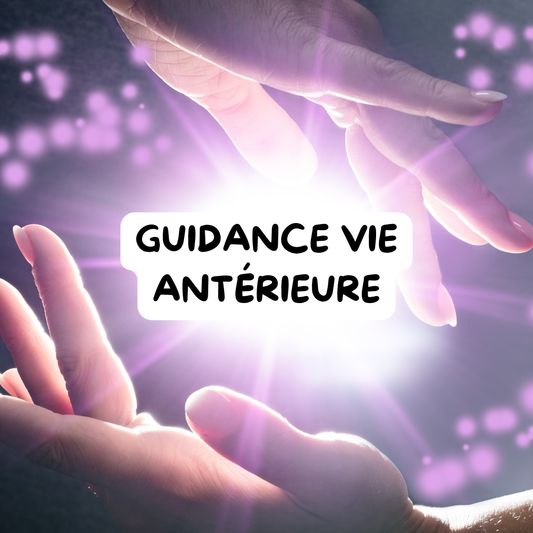 GUIDANCE DÉCOUVERTE VIE ANTÉRIEURE ET BLOCAGE LIÉ