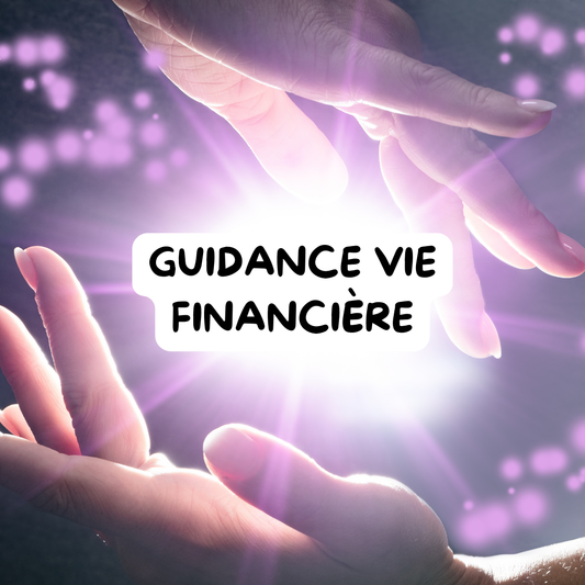 GUIDANCE FINANCIÈRE