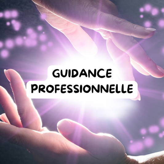 GUIDANCE PROFESSIONNELLE