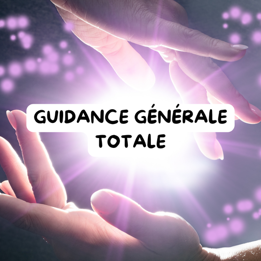 GUIDANCE TOTALE / COMPLÈTE TOUT THÈME
