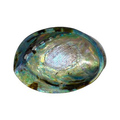COQUILLE ORMEAU SUPÉRIEUR PORTE ENCENS